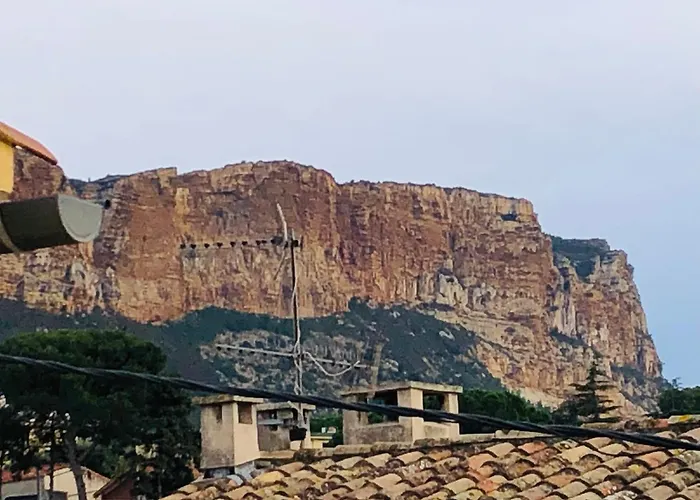 Plein Sud